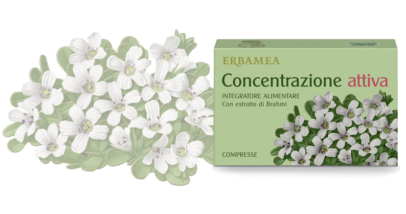 CONCENTRAZIONE ATTIVA ERBAMEA 24 compresse